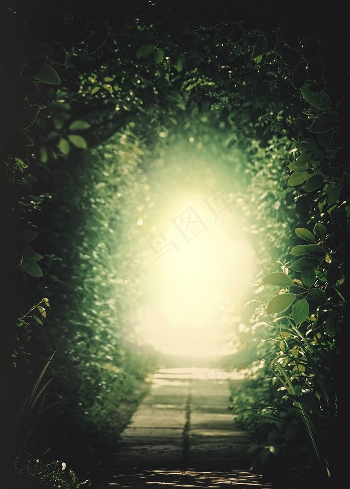 梦幻的林间小道