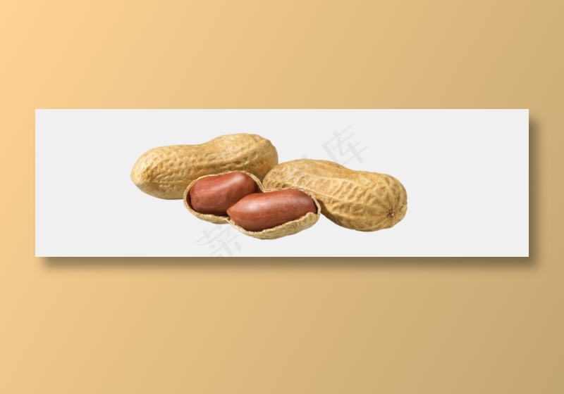 免扣png花生 