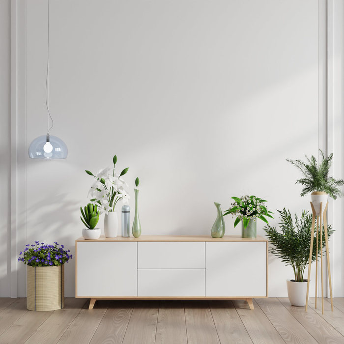 室内设计北欧简约绿植盆栽场景(60)