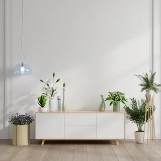 室内设计北欧简约绿植盆栽场景(60) 室内设计北欧简约绿植盆栽场景(60)