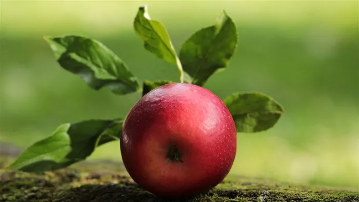 唯美苹果图片