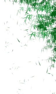 树木树枝树叶免扣素材