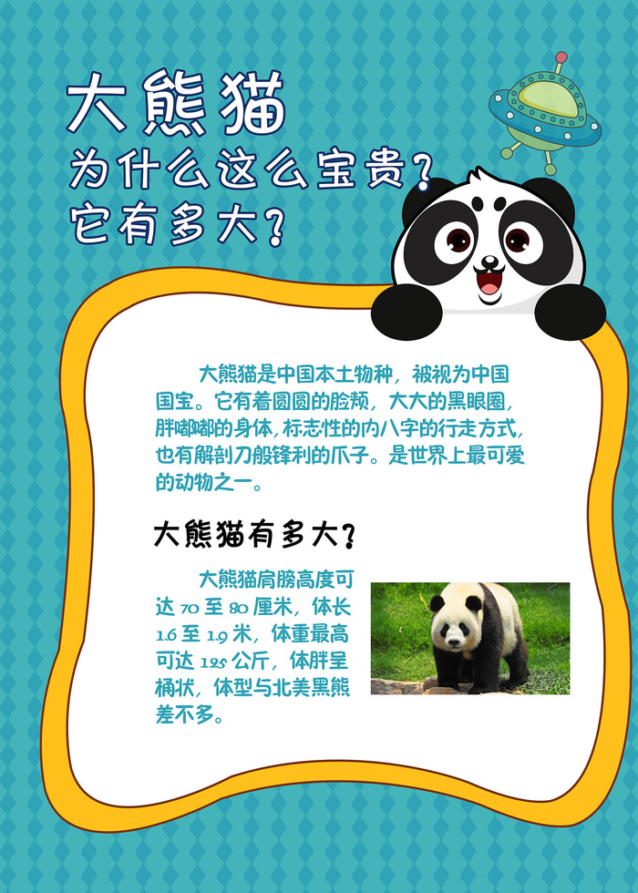 可爱的大熊猫动物科普知识海报