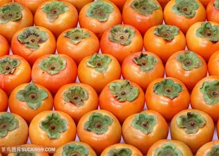 平铺柿子平铺高清图