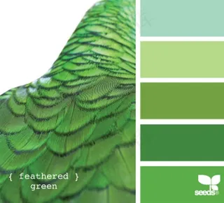 动物配色色卡色彩搭配