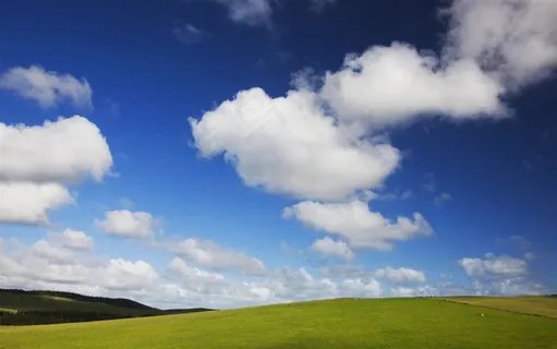 桌面草地蓝天  桌面草地蓝天