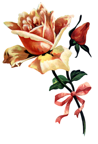 古典花卉png免扣素材