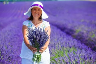 拿着一束薰衣草的女人