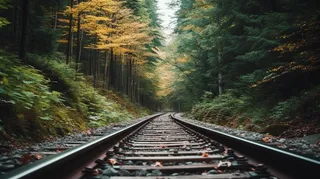 森林里的火车铁路轨道摄影图