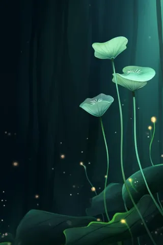 国风夜晚荷花荷叶大气背景