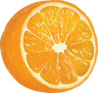 63_orange_PNG781