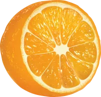 63_orange_PNG781