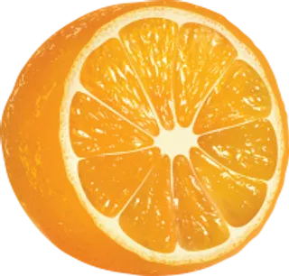 63_orange_PNG781