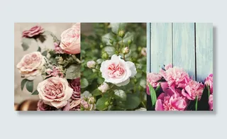 自然三联玫瑰装饰画