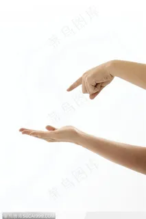 手势喻意-指示 手势喻意-指示