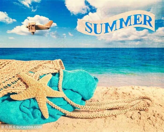 沙滩上海星高清图片