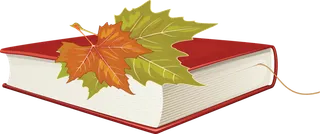 空白 书笔记本词典