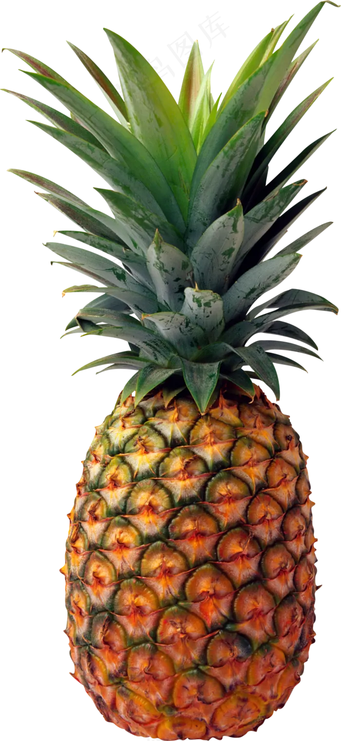 PNG 菠萝 