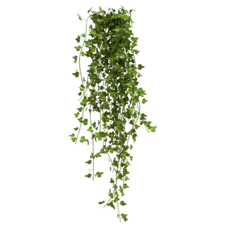 树木树枝树叶免扣素材