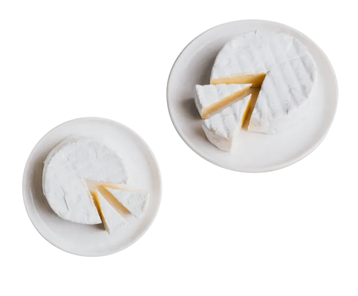 蛋糕|白色|盘子|免抠|PNG