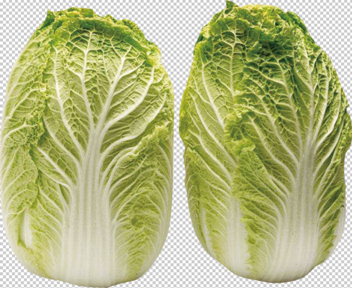 大白菜免扣素材