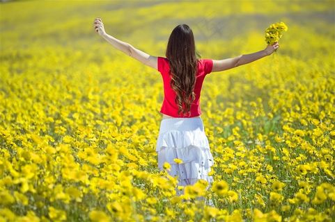 黄色花海美女背影照片