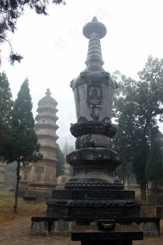 天空下的塔林与树木