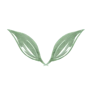 唯美森系手绘水彩花朵 免抠