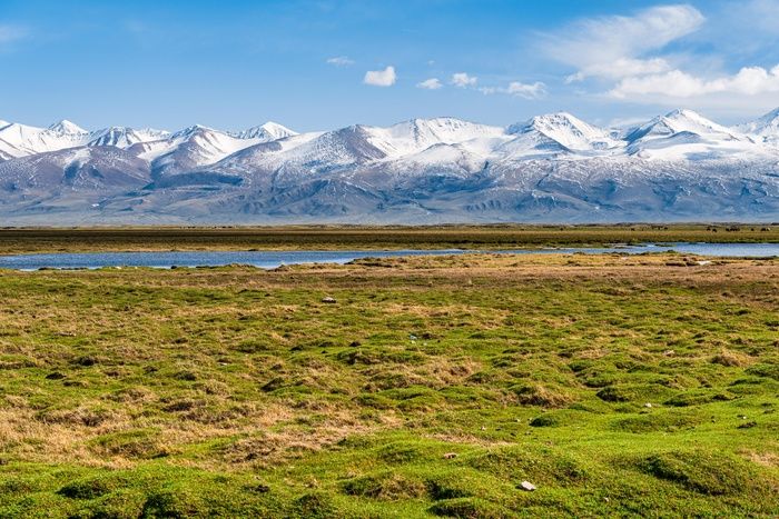 巴音布鲁克湿地