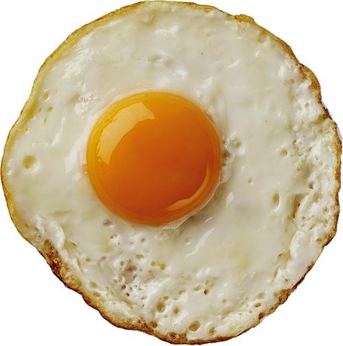 煎蛋 PNG免抠(500x504)