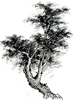 古树艺术绘画摄影图片