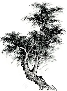 古树艺术绘画摄影图片