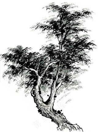 古树艺术绘画摄影图片