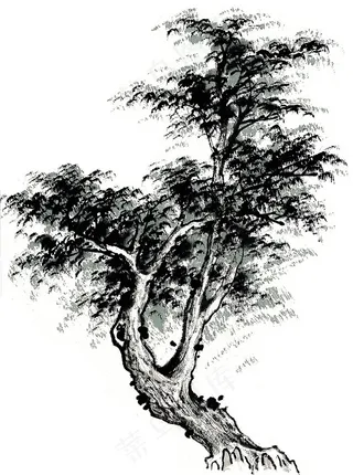 古树艺术绘画摄影图片