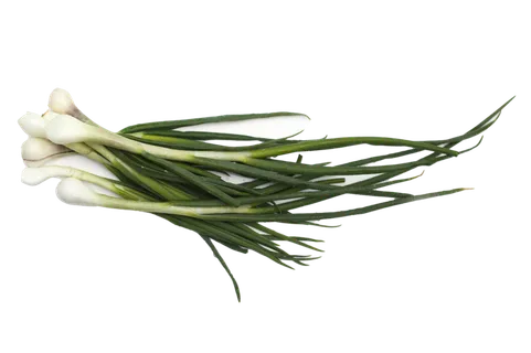 香葱 (6)超市商品白底图免抠实物摄影png格式图片透明底