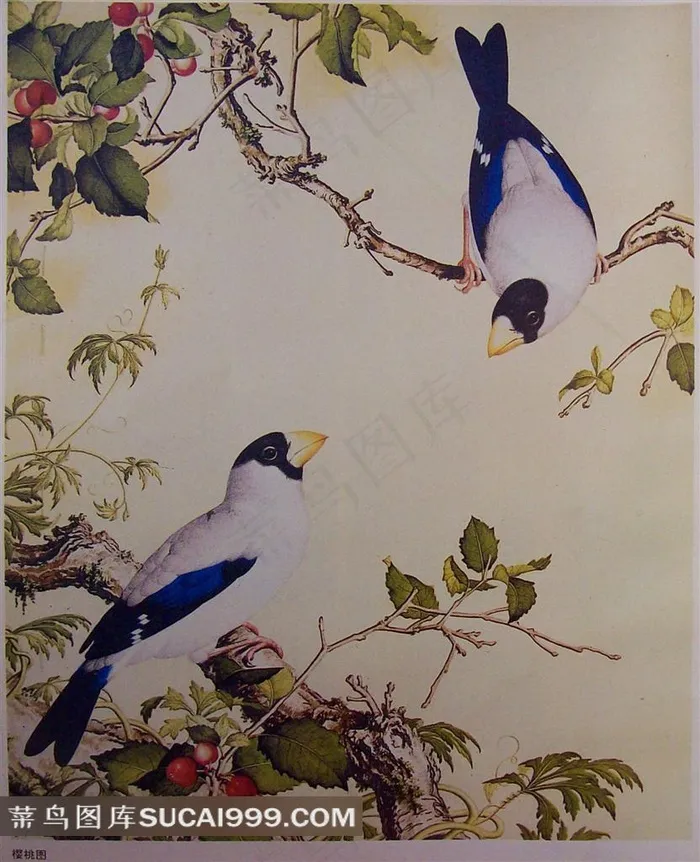 高清工笔花鸟图片素材