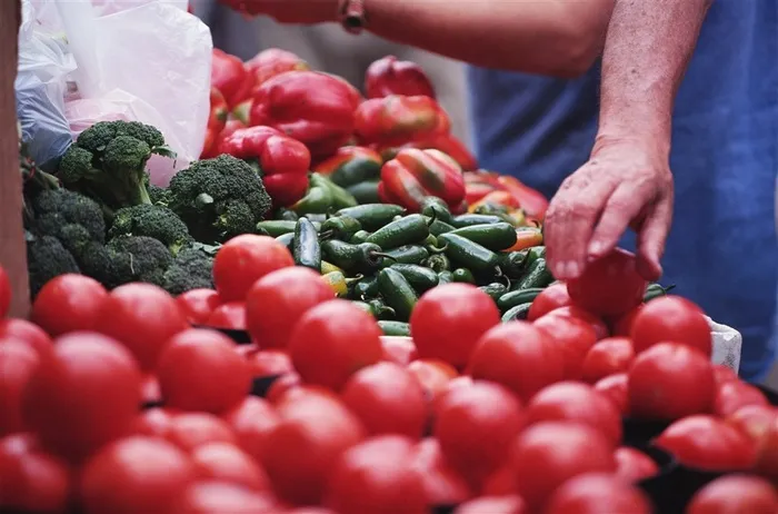西红柿辣椒卷心菜设计美图素材