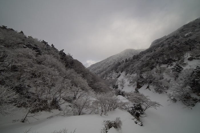 冬天自然背景风景