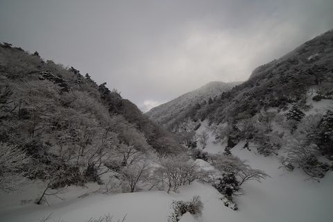 冬天自然背景风景 冬天自然背景风景