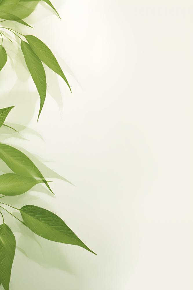 简约清新树叶纹理背景