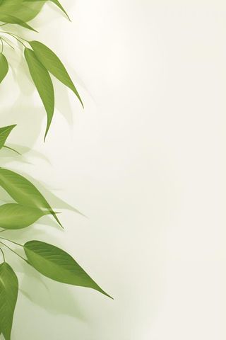 简约清新树叶纹理背景