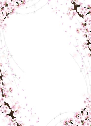 樱花 PNG免抠(577x800)