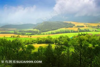 山庄树林美景高清图片