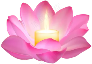 荷花素材 免抠 荷花 复古 中国风 莲花 荷叶 花朵