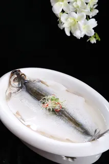 太湖白鱼 太湖白鱼