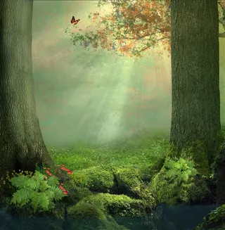 绿色童话森林高清图片