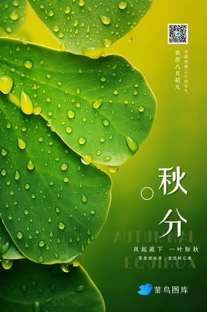 秋分黄绿渐变简约叶子清新节气海报(2362x3543)psd模版下载