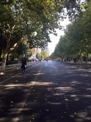 校园马路秋季景色旅游走过深秋