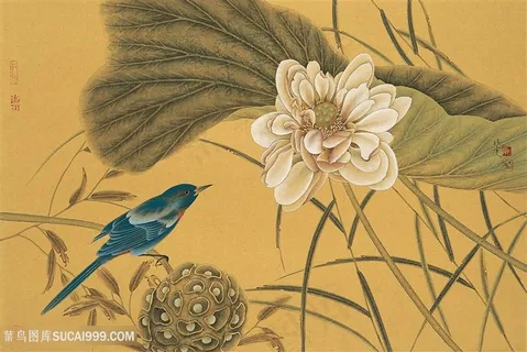 中式莲花花鸟高清装饰画 中式莲花花鸟高清装饰画