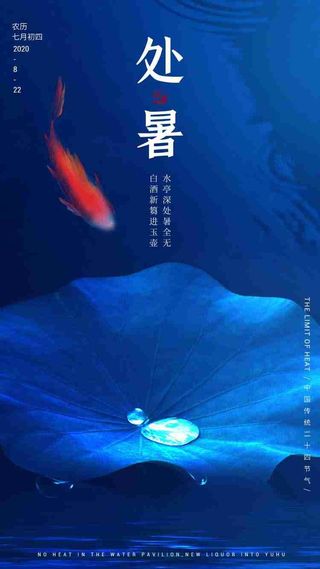 二十四节气处暑app启动页海报